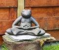 Frog meditating Royalty Free Stock Photo