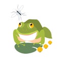 Frog and mosquito