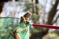 Frog in net