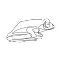 Frog one line art drawing vector illustration minimalist design Royalty Free Stock Photo