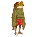 A Frog Person, isolated vector illustration. Cartoon picture of a toad in an oversized long-sleeved sweatshirt. Drawn animal