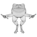 Frog polygonal lines illustration.