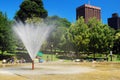 Frog Pond Boston Common