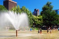 The Frog Pond offers a refreshing respite