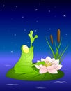 Frog on the pond, night sky background