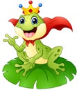 Frog prince cartoon on water lily leaf Royalty Free Stock Photo