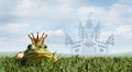 Frog Prince Fairy Tale As a Magical Story Concept Royalty Free Stock Photo