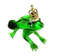 Frog prince with golden crown Royalty Free Stock Photo