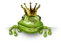 Frog prince with small gold crown Royalty Free Stock Photo