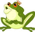 Frog Prince waiting to be kissed Royalty Free Stock Photo