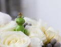 Frog Prince in white roses wedding bouquet Royalty Free Stock Photo