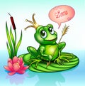 frog princess on a leaf with a boom