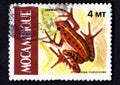 frog ptychadena porosissima depicted on Mozambique postage stamp