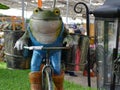 Frog riding a bike