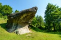 Frog Rock from Cisnadioara village, near Sibiu city, Transylvania, Romania Royalty Free Stock Photo