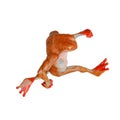 Frog is running in isometric view Royalty Free Stock Photo