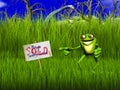 Frog Sells Swamp Land