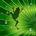 Frog shadow is on Green Tone Leaf Royalty Free Stock Photo