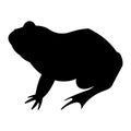 External anatomy of an amphibian. Frog Black Silhouette, side view.