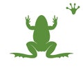 Frog silhouette. Abstract frog on white background Royalty Free Stock Photo