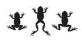 Frog silhouette. Abstract frog on white background Royalty Free Stock Photo