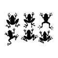 frog silhouette set Royalty Free Stock Photo