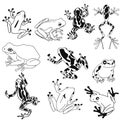 Frog silhouettes icon, tropical frog, SVG Vector