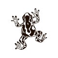 Frog silhouettes vector image black