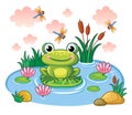 The frog sits on a leaf in the pond. Royalty Free Stock Photo