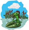 A frog sits in a swamp and dreams, looking at the sky Royalty Free Stock Photo