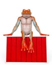 Frog is sitting in the box Royalty Free Stock Photo