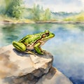 Frog sitting on rock on the banks of a lake on natural environment, watercolor illustration. Royalty Free Stock Photo