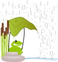 Frog with leaf on a rainy day Royalty Free Stock Photo