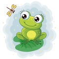 A frog is sitting on a white background. Isolated illustration with dragonfly and frog in a cartoon style