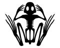 Frog skeleton Royalty Free Stock Photo