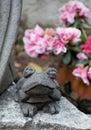 Frog stone gray flower ornament handcraft mexican traditional close-up daylight wise garden decoration animal