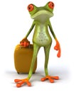 Frog and suitcase Royalty Free Stock Photo