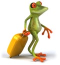 Frog and suitcase Royalty Free Stock Photo