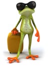 Frog and suitcase Royalty Free Stock Photo