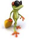 Frog and suitcase Royalty Free Stock Photo