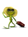 Frog with a Suitcase in a Hat Royalty Free Stock Photo