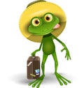 Frog with a Suitcase Royalty Free Stock Photo
