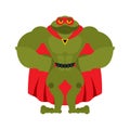 Frog superhero. Super toad in mask and raincoat. Strong Amphibian