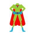 Frog superhero. Super Toad in mask and raincoat. Strong amphibian