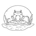 A frog in a swamp. Toad sits on a rock. Cute flat hand drawn character. Vector illustration isolated on white background. Coloring Royalty Free Stock Photo