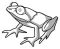 Frog three vector drawing. drawing in black and white