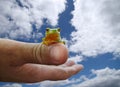 Frog on Thumb - Cloudy Sky Royalty Free Stock Photo