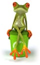 Frog with a trash can Royalty Free Stock Photo