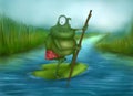 Frog traveler