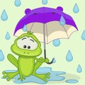Frog with umbrella Royalty Free Stock Photo